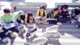 [道농기원, 경기도 농촌교육농장 체험] ‘힐링+실속’ 오감만족 농촌 나들이… “또 오고 싶어요”