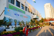수원시 영통구 태장동, 제7회 태장국화축제 개최