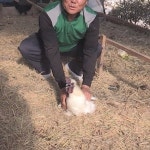 순간포착 세상에 이런일이 말하는 닭ㆍ지구 지킴이ㆍ미니어처 목공예