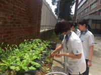 ‘온’ 세상을 향해 ‘고’민하며 ‘지’혜와 ‘신’바람으로 영글자… 수원 송원중 “꿈과 끼 함께 키워나가요”