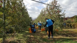 대진대, 3일동안 농촌봉사활동ㆍ주거환경개선 사업시행…상생의 시간 가져