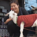 순간포착 세상에 이런일이 블라인드 큐브 신동ㆍ엄마 껌딱지 염소 삼양이