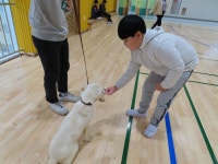양주도담학교 전교생 대상 동물과 함께하는 체험활동 가져