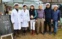 여주 북내면 김현숙, 김상준 귀농부부 김장배추 3천포기 나눔행사