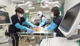 인천야생동물구조관리센터 분주