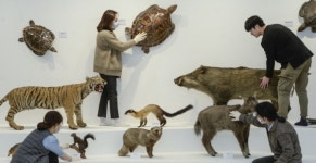 문성학원 기증 특별전