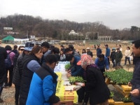 광명시, 시민주말농장 참여자 대상 모종 나눔행사 개최