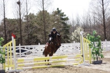 한성승마클럽 유소년단 꿈나무 산실로 거듭나다