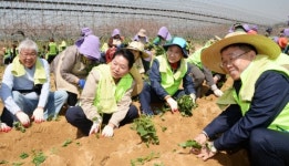 풍년농사 지원 전국동시 발대식