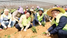 농민들 주름살 활짝 펴는 한해되길… 1천100여명 풍년기원