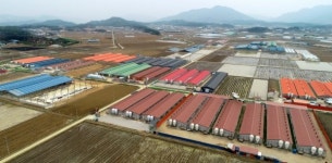 [강원도 축산단지로 고통받는 포천] 중. 환경오염에 노출된 관인면