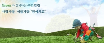 원예치료사 자격증 종류는?