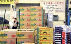 수수료 안내려고… 과일 무단 반입한 안산 농수산물도매시장 중도매인