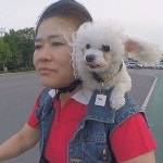 순간포착 세상에 이런일이 22인치 팔뚝男·어깨 위 犬·7세 댄스 신동 등