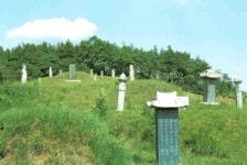 [빛나는 문화유산] 한산 이씨 묘역