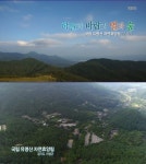 유명산 자연휴양림, 다양한 매력으로 이용객 전국 1위…예약방법도 다양