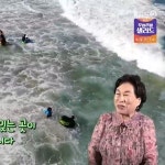 전원주 추천, 고성군 아야진 해변부터 소똥령 마을까지