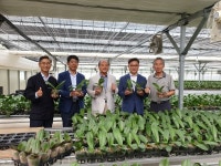 동두천산 호접란, 美 수출길 활짝