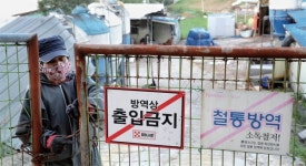 돼지열병 사방이 뚫렸다… 커지는 불안