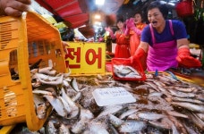 전어 제철 소래 활기