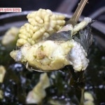 생방송 오늘저녁 미역 생우럭 맑은탕·소 곱창전골, 판매처는?
