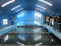 신한대학교 에너지환경공학과, K-water 동두천수도관리단 견학