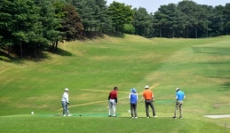 세금 효자 골프장, 수백억 체납하며 말썽…고액 체납 법인의 미납액 40%가량 차지