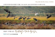 김포문화재단, 영원히 기억될 순간, 한강하구 생명의 날갯짓 전시 개최