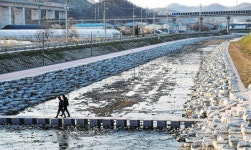 안산시, 漁道도 설치 안하고 반월천 산책로 조성공사 강행