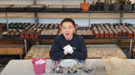 경기도농업기술원, 농업체험 활성화 위한 DIY 온라인 체험프로그램 운영