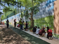 양주 칠봉초~덕정고 통학로 사잇길 산뜻한 벽화거리로 재탄생