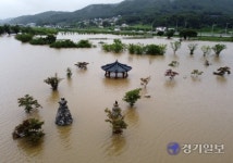 파주 집중호우로 수내천 제방 유실...10만평 전진농장 침수