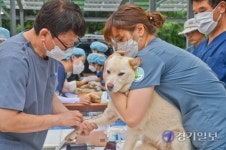 경기도 수의사회 중성화 및 예방접종 봉사활동