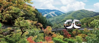 [아름다운 강산 산山 내川 들野 나들이] 광주 화담숲