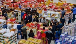 현대화산업 마친 수원농수산물도매시장 첫 경매