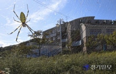 수년째 미활용 방치된 폐교 13곳… 예산 타령만 하는 경기도교육청