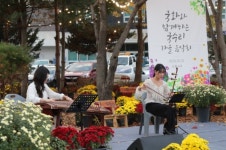 국화 가득... 양평 양서면서 국수리 가을 음악회