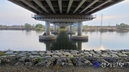 수달서식지 파괴하는 평택노을유원지 조성사업 중단해야