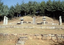[빛나는 문화유산] 서희장군묘
