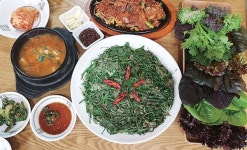 [한식 맛집 초록향기] 싱싱한 유기농 채소 한가득...식탁 위 펼쳐진 맛의 즐거움