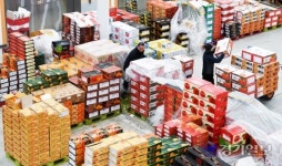 [포토뉴스] 설 명절 앞둔 수원농산물시장