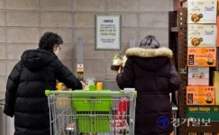 설 명절 앞두고 박스 대란 본격화…골판지 원자재 부족