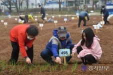 수원탑동시민농장 [포토뉴스]