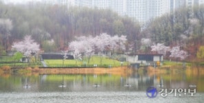 봄 재촉하는 비, 수채화 펼쳐진 동탄호수공원 [포토뉴스]