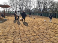 구리시 반려동물 놀이터 하루평균 반려동물 200마리 이용