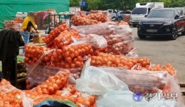 인천 삼산농산물시장, 양파더미 주차장 가득