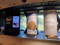 체험으로 즐기는 구석기 의식주, 전곡선사박물관 개관 10주년 기념전