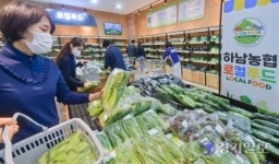 아침 수확 농산물이 저녁식탁에…하남농협 로컬푸드 직매장 인기 활활