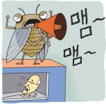 [현장, 그곳&] 열대야 속 여름 불청객 매미의 습격, 잠 못 이루는 밤