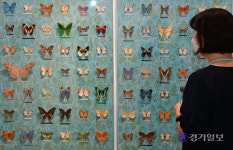 [2021 경기도 박물관·미술관 다시보기] 26. 양주 안상철미술관